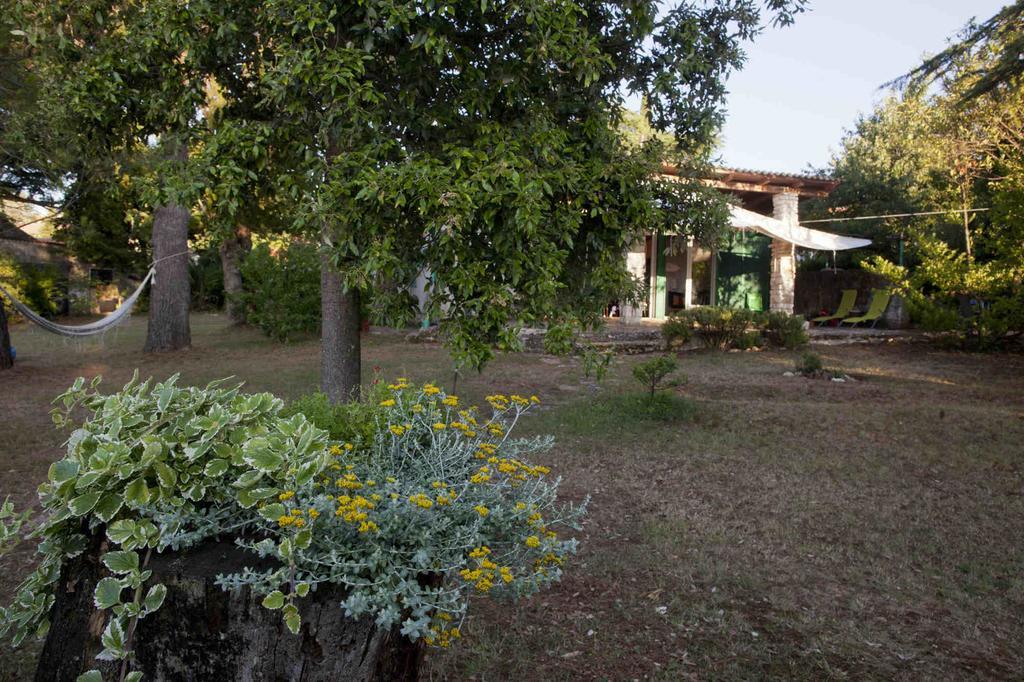 Holiday Home Dajla 35 Novigrad Istria Exterior foto